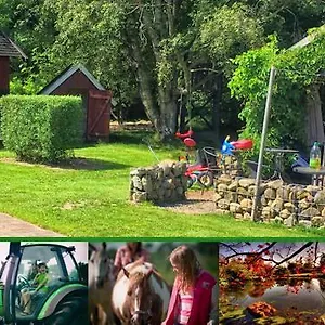Stutteri Skandihest Vakantieboerderij Billund